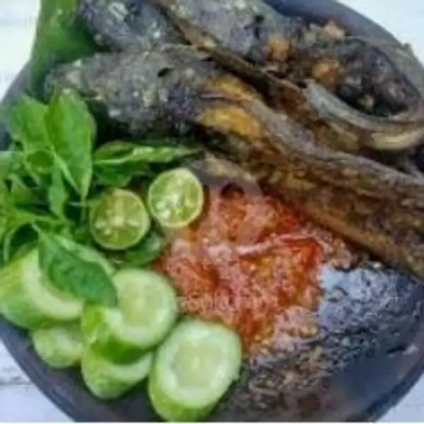Paket Hemat Ber 2 Nasi Ikan Lele Penyet | PENYETAN BU AHMAD