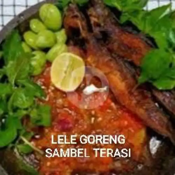 Lele Goreng Sambel Terasi + Tahu/tempe + Nasi Putih + Es Teh | BAKSO MERCON 99, Depan Kolam Renang