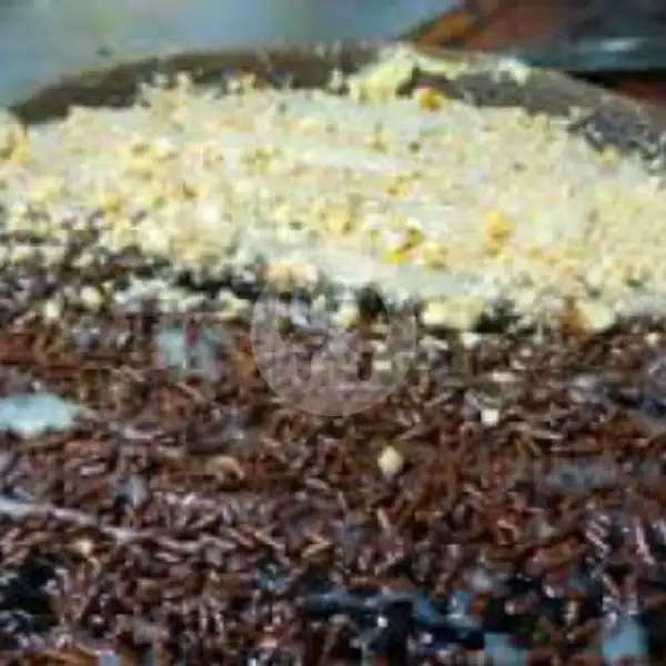 Spesial Black Forest Keju Kacang Coklat Susu | Martabak Zfams, Kali Abang Tengah