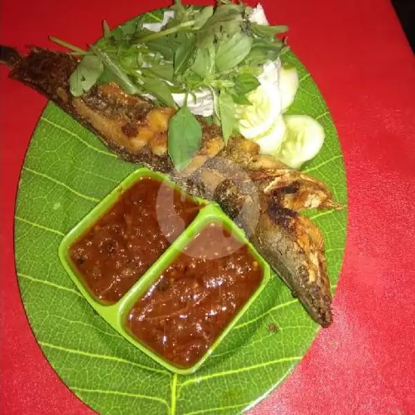 Lele Goreng Biasa | Riana Jaya Sea Food 18 Ayam Kremes, Lingkar Utara
