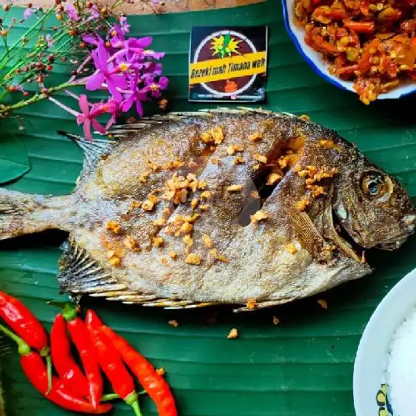 Paket Nasi Ikan Baronang Goreng | Cumi dan Ikan Bakar Rezekimah Timana Weh, Cigadung
