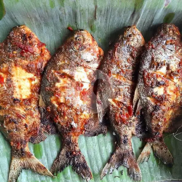 Ikan Bawal Bakar | Warung Nasi Simpang Pintu, Jl. Kebon Pedes