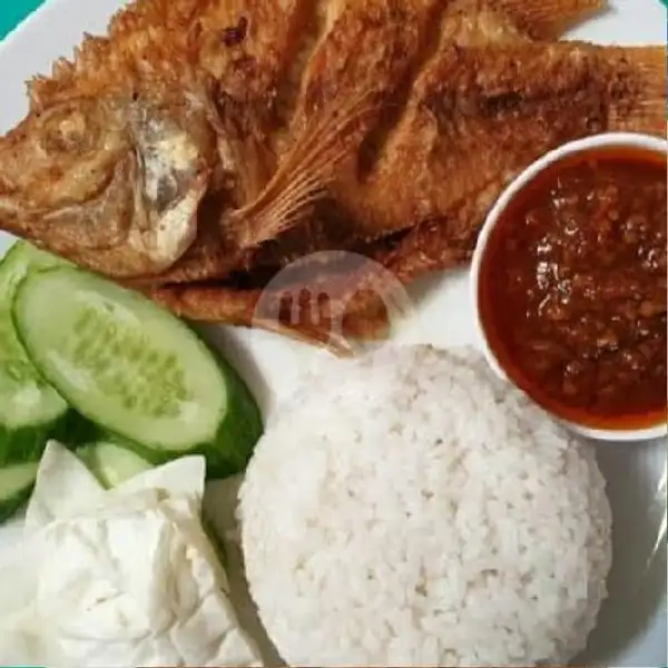 Paket Nila Goreng Sambal Matah | @Rex Food, Darmodiharjo