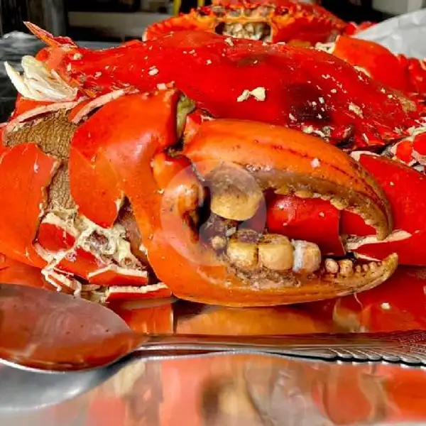 Kepiting Papua 1,3kg | Street Crab, Cipondoh
