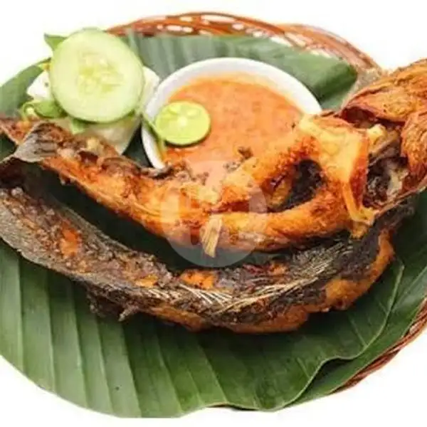 Lele Goreng  + Nasi | Seafood 89
