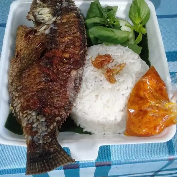 Nasi Mujair Bakar Extra Pedas | Warung Ikan Katombo, S Parman