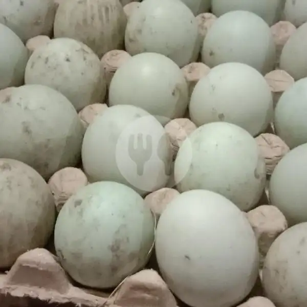 Telur Bebek Mentahh | Telur Asin Cilacap & Olahan Telur Bebek