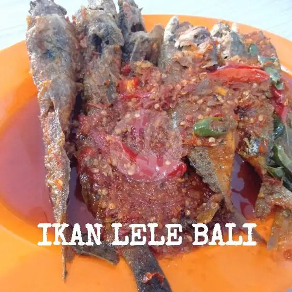 Ikan Lele Bali | Warung Makan Tegal Sederhana