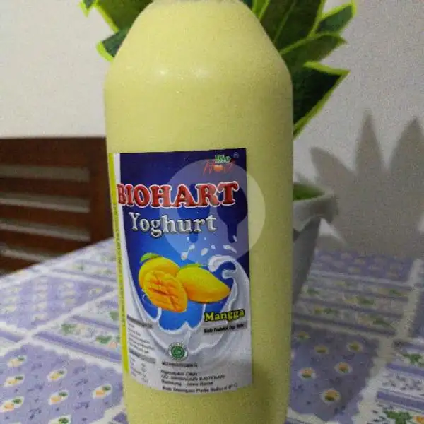 Yoghurt 1 Liter Rasa Mangga | Yoghurt BIOHART Pondok Kelapa