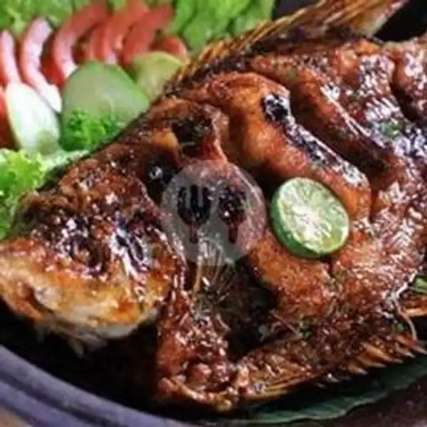 Ikan Kerapu Bakar | Lalapan dan Seafood Lestari, Padangsambian Klod
