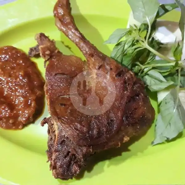Bebek Goreng + Nasi | Ayam Bakar Pak Yin, Kebomas