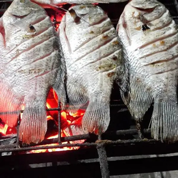 Gurame  Bakar | Bebek Dan Ikan Bakar Rajo Bintang.