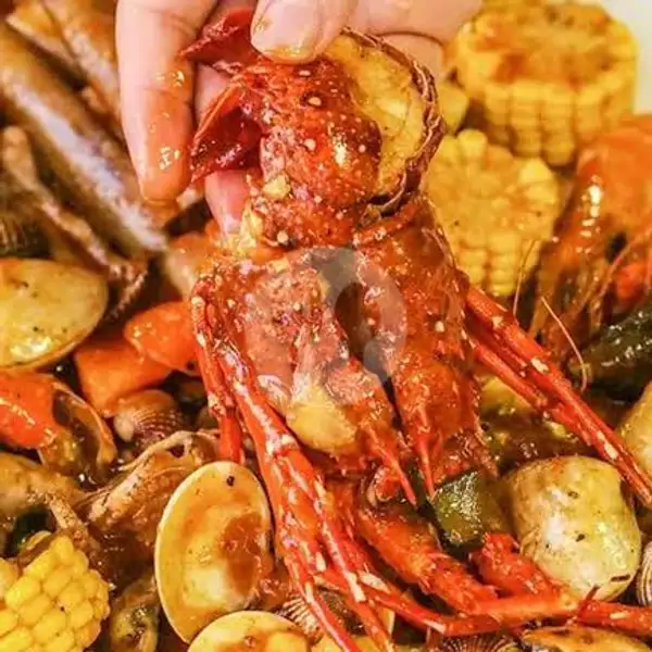 Lobster Dikeroyok Kerang | Seafood Baba Kemal Kepiting Udang Cumi Kerang Asam Manis, Denpasar