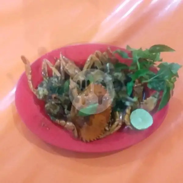 kepiting  lada hitam | Bandar 888 Sea food Nasi Uduk