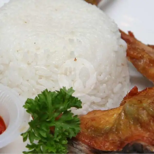 Nasi Lalapan Ayam Goreng + Es Teh | Warung Nasi Madu Wangi, Sumbersari
