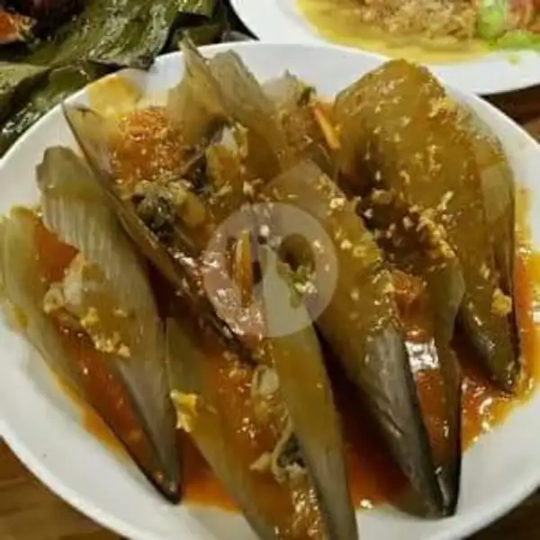 Kerang Kampak (1kg) | Seafood Rakyat, Seafood Ngamprak, Esbuah