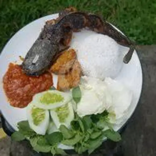 Paket Lele Bakar + Nasi | Ayam Bakar Mpo Limehh, Mulya Jaya