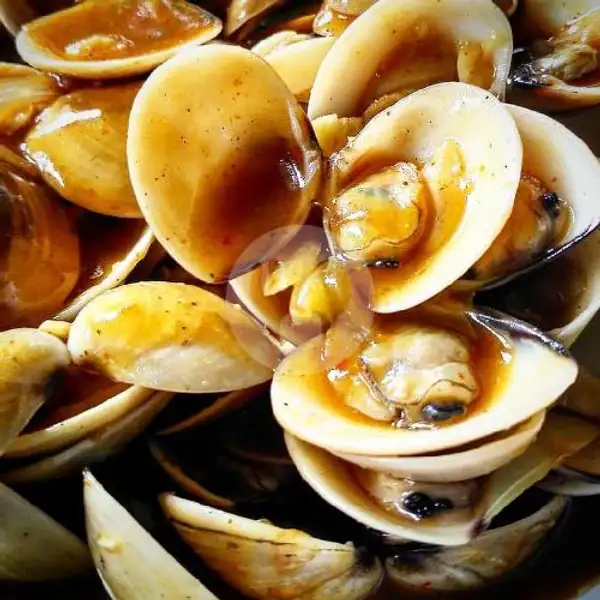 Kerang Tahu 1 Kg | Seafood Mangandar, Katapang