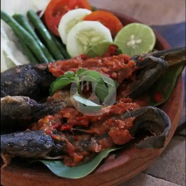 Palelo | Ayam Spicy Mang Brewok, Taman