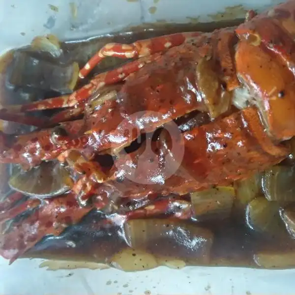 Lobster Size 200 Up 1/2 Porsi | Seafood88, Jombang Kota