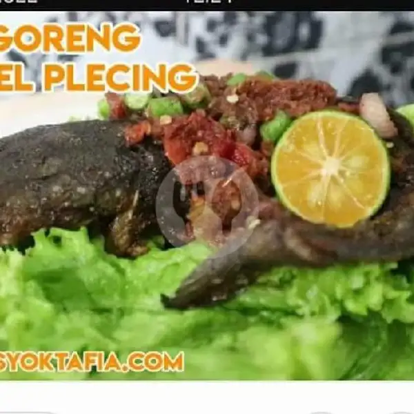 Ikan Lele Plecing ( Lv 4 ) + 2 Tempe Goreng + Nasi | Warung Bu Eka, Batam