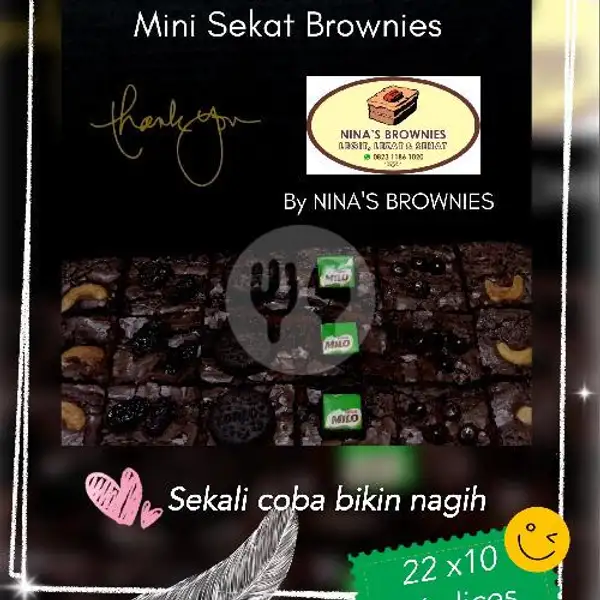 Sekat Brownies Ekonomis | Nina'S Brownies