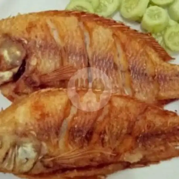 Nila Goreng + Nasi | Bebek Dan Ikan Bakar Rajo Bintang.