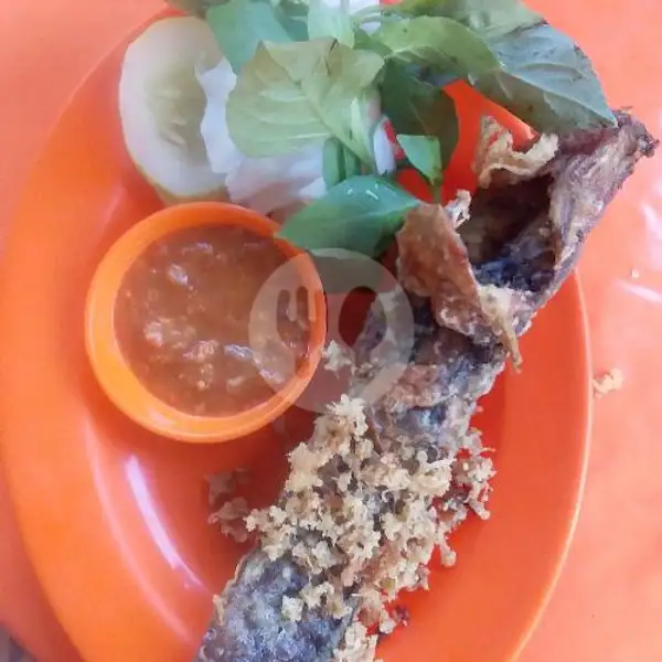pecel lele krispi | Bandar 888 Sea food Nasi Uduk