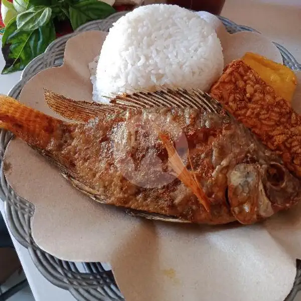 Nasi Ikan Nila | Ayam Goreng M. Andri, Babakan Jeruk