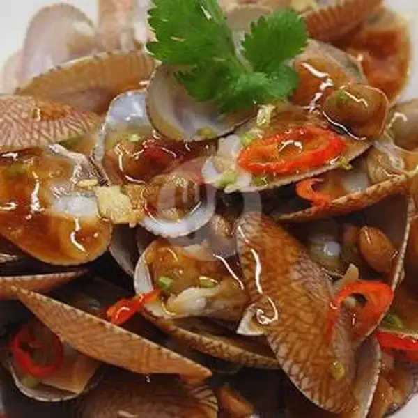 Kerang Batik | Spesial Seafood Kerang Sedep, Pedurungan