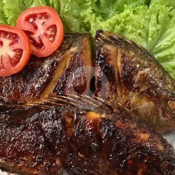 Ikan Nila Bakar Saos Tiram | Sate Ayam Dan Sate Kambing Anugrah, Serpong Utara