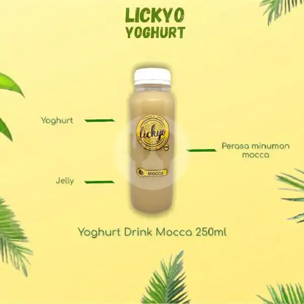 Yoghurt Drink Mocca 250ML | LickYo Creamy Yoghurt, Reog