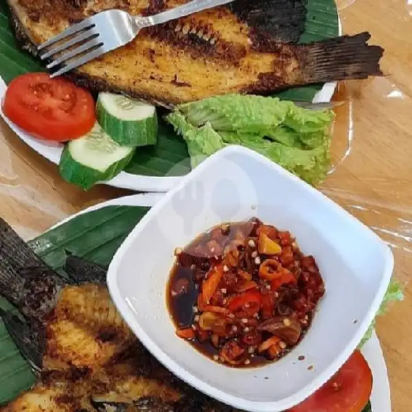 Ikan Kakap Merah | Kepiting Ngamprak Surabaya