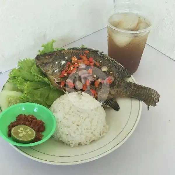 Nasi +ikan Nila Sambal Terasi+lalapan+es Teh Manis | Kaget Food Street
