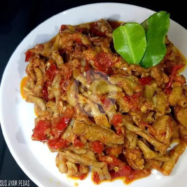 Usus Ayam Setan Jontor Super Pedas | Seafood Jontor Nia, Mulyorejo
