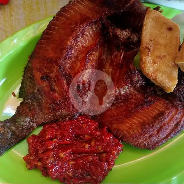 Pecal Ikan Nila + Nasi | Warung Zura, Padang Timur