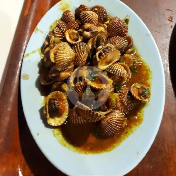 Kerang Dara Saus Padang | Seafood Khayla Jaya