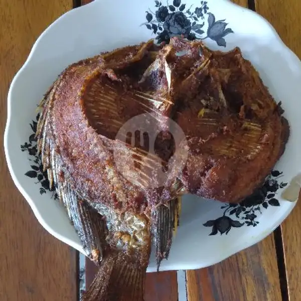 Nasi Ikan Goreng Mujair | Rumah Makan PADANG BUANA RAYA