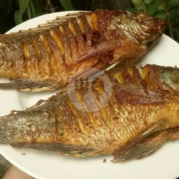 ikan nila goreng(paket) | Ayam Goreng Sambal Pete Husna, Cimanggah