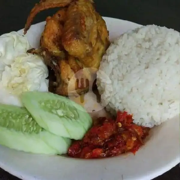 Nasi Ayam Goreng | Tahu Gimbal Aurel Grobogan, Purwomukti