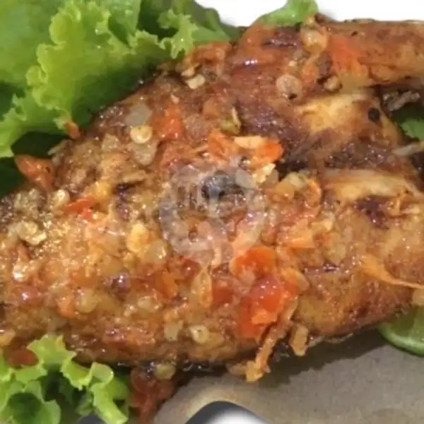 Ikan Bakar Kakap With Sambal Cikur | Dapur Kreasi Ayah&Ibu, Sekeloa