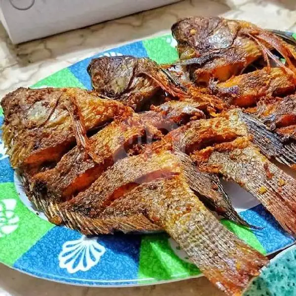 Ikan Nila Goreng +nasi +sambal Dadak+karedok Leunca +lalapan | Ayam Bakar Ayam Goreng RR Free Sambal Dadak Dan Karedok Lenca
