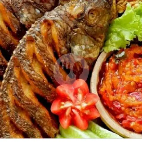 Ikan Nila Goreng | Ayam Geprek Paket Hemat Sidodadi, Samarinda Ulu