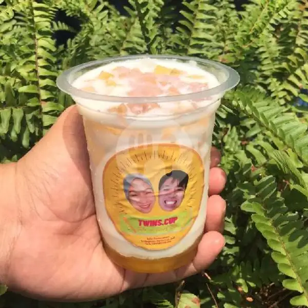 Pine Milk With Jelly | Twins Cup Bdl