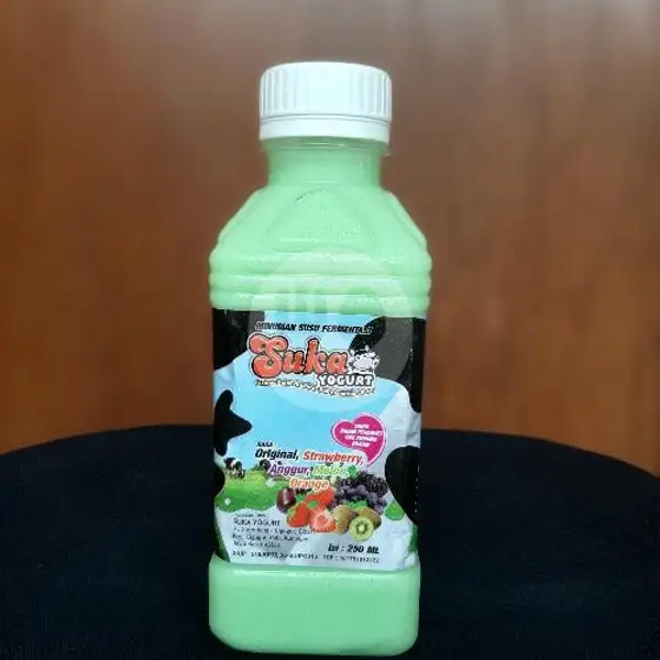 Yoghurt Melon | Fresh Yoghurt