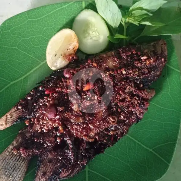 Nasi Gurame Goreng 3 - 3,5 Ons | Alvina Seafood Khas Semarang, Bukit Kecil