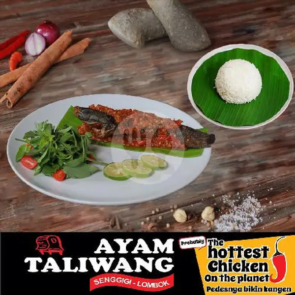 Nasi Lele Taliwang | Ayam Taliwang Senggigi Lombok, Tiban