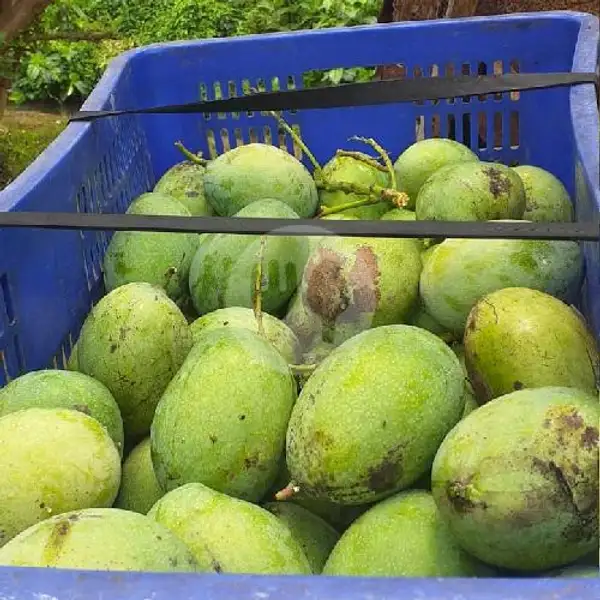 Mangga Manalagi A | Sahil Fruit, Pasar Tradisional Blimbing
