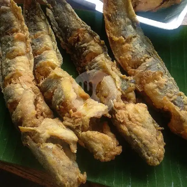 Pecak Lele Krispy | Warung Sate Lampung, Sayabulu