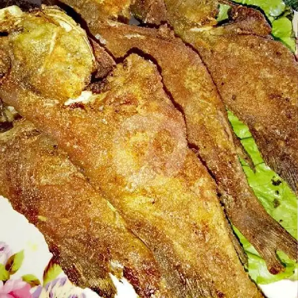 Kerapu Goreng +Mercon | Ayam Pedas Cadok, Jatihandap